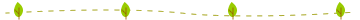 quizline.gif(989 byte)